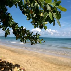 Di pantai, kerusi lepak pantai, bersnorkel, bar pantai