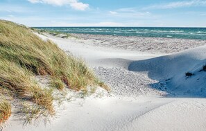 Beach nearby, fishing