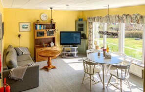 TV, fireplace, DVD player