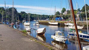 Een jachthaven met vele boten afgemeerd aan de oever, een heldere lucht en enkele gebouwen op de achtergrond.