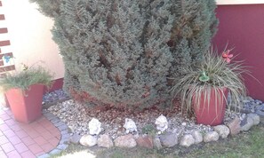 Exterior detail - Small apartment - apartments and apartments in Baabe (Baabe)