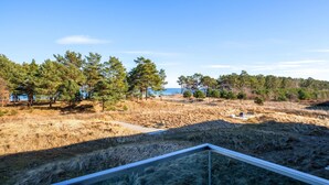 A coastal landscape with pine trees, a clear sky, and a distant view of the sea. - Gorgeous apartment in Binz with indoor swimming pool (Prora/Rügen)