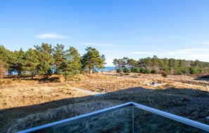 A coastal landscape with pine trees, a clear sky, and a distant view of the sea.