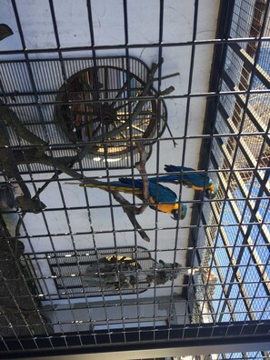 صورة غير مصنفة، 5 من 36، زرّ