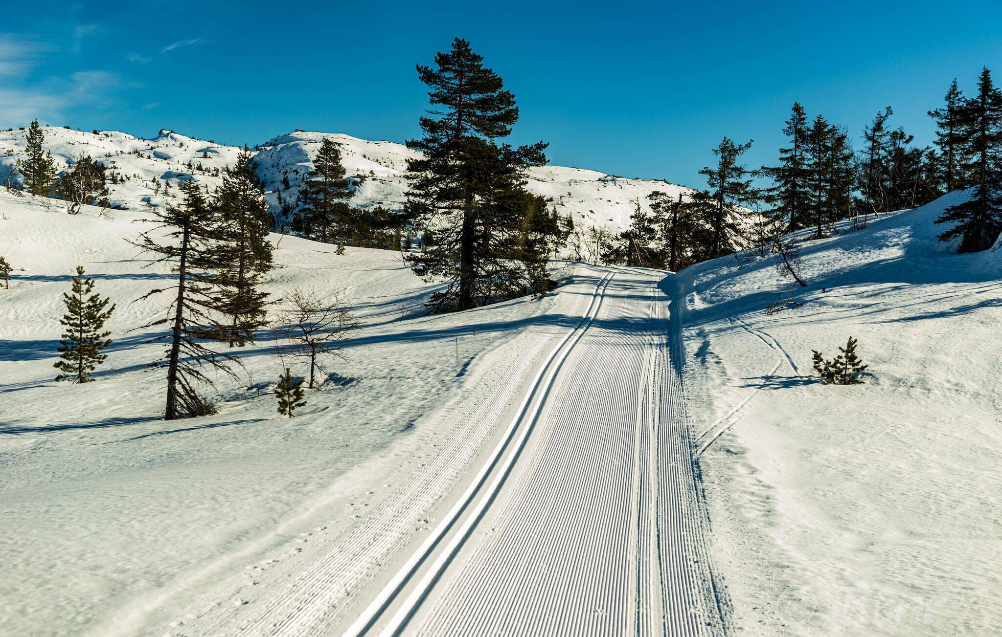 A snowy ski trail with trees and a mountain in the background.