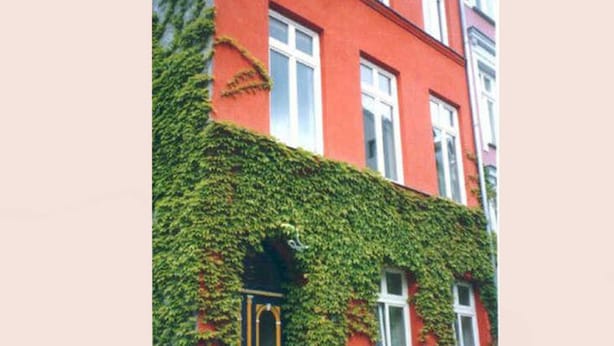 Un edificio rojo con puerta y ventanas negras, parcialmente cubierto de hiedra verde.