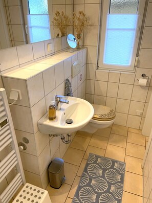 Shower, soap, toilet paper