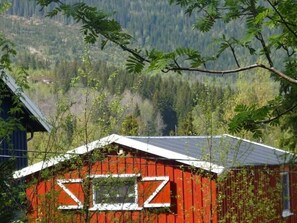 Niet-geclassificeerde afbeelding, 5 van 18, knop