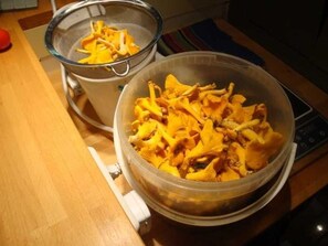 Photo non classée, 5 sur 18, bouton