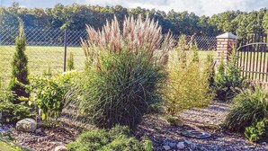 Un jardín con diversas plantas y una cerca.