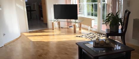 Flat-screen TV
