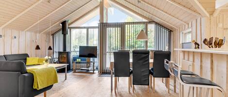 TV, fireplace, DVD player