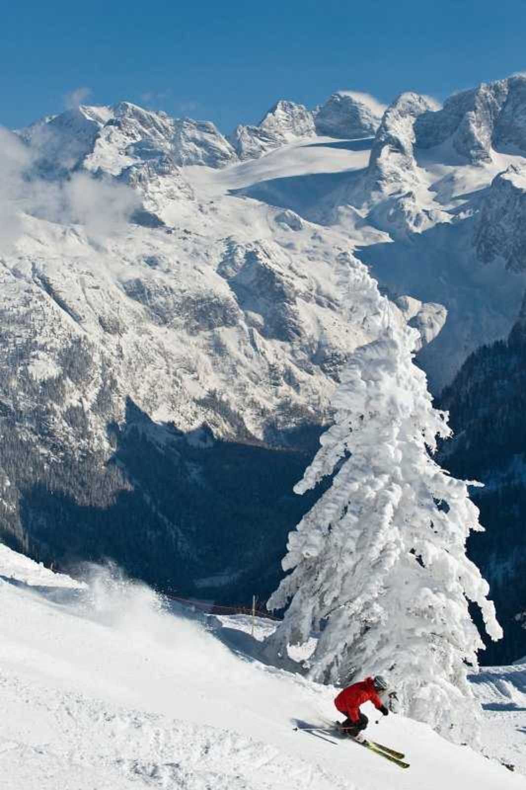 Sneeuw- en skisporten