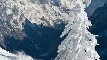 Sneeuw- en skisporten