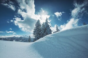 Image sans description, 3 de 20, bouton