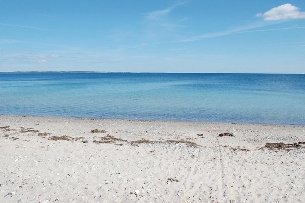 Una playa cerca, pesca