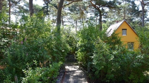 Ein gelbes Haus, umgeben von dichtem Grün, mit einem gepflasterten Weg davor.