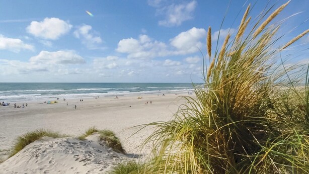 En strand med sanddyner, en klar himmel och havet i bakgrunden.
