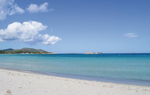 صيد الأسماك