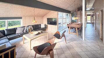 TV, fireplace, DVD player