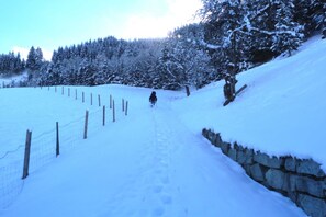 Image sans description, 2 de 20, bouton