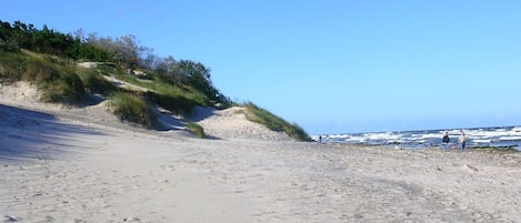 Nära stranden