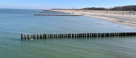Una spiaggia nelle vicinanze