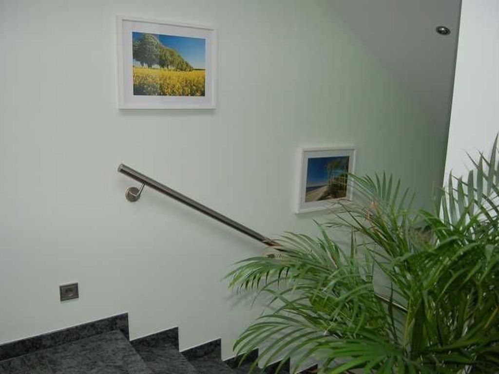 Un escalier avec une rampe, un cadre photo fixé au mur et une plante en pot.