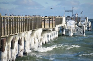 A pier with ice formations, a sign reading 'Seebad Binz,' and a ship in the background. - Apartment 1 - NEW! Rental Binz (Binz)