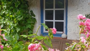 A rustic house with a white exterior and blue window frames, surrounded by lush greenery and blooming pink flowers.