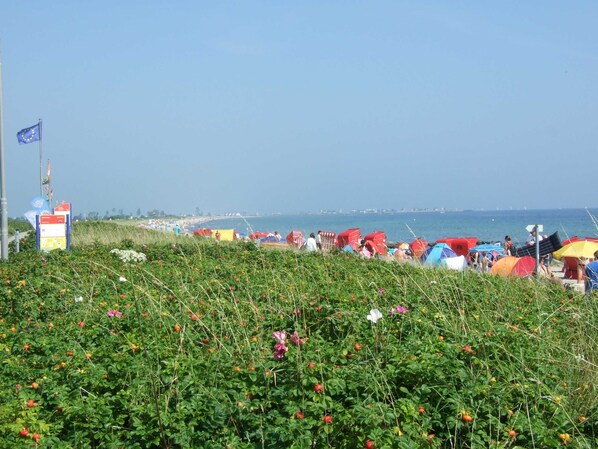 Unclassified image, 1 of 13, button