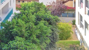 Un edificio de varios pisos con balcones y un jardín con diversas plantas y flores.