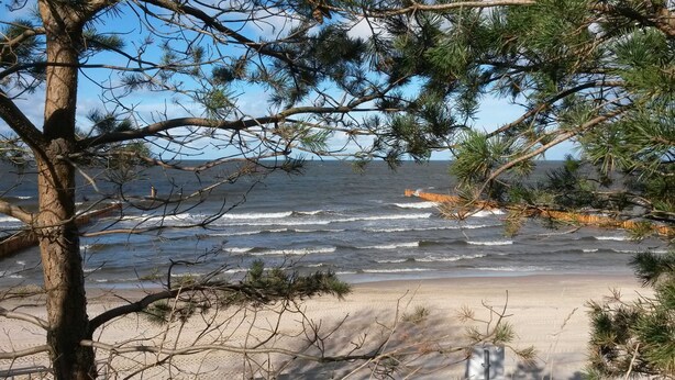 A beach with waves, a tree, and a fence.