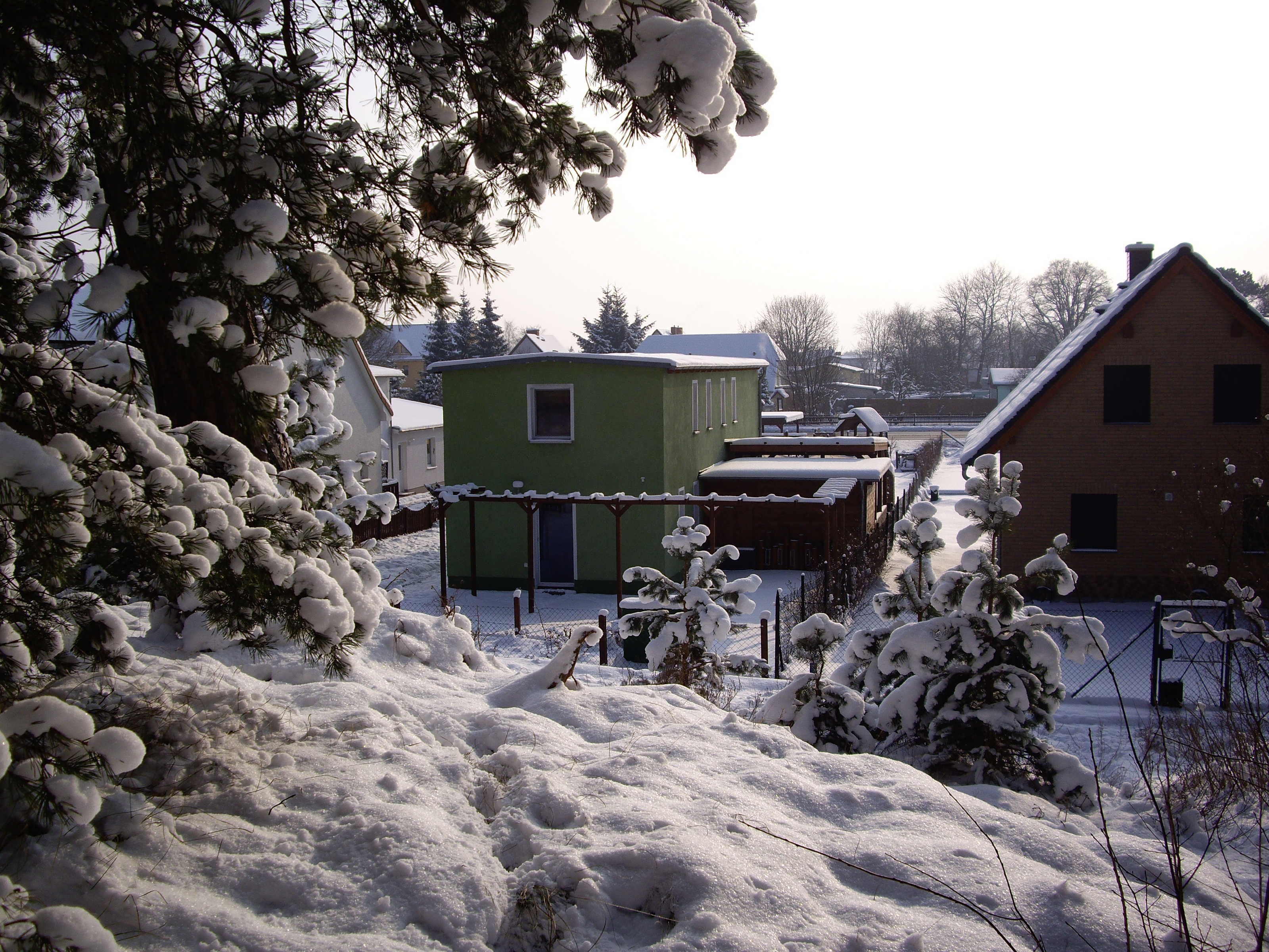 A residential area with snow-covered houses and trees.