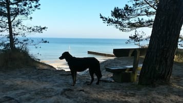 In Strandnähe