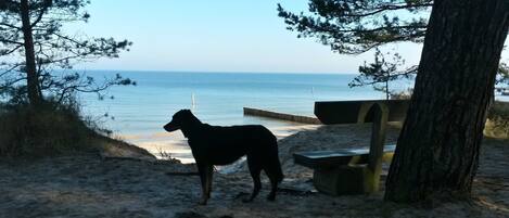 Beach nearby