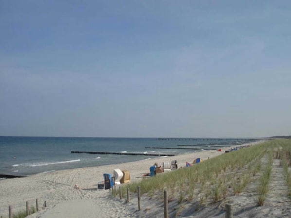 Une plage avec un rivage sablonneux, une jetée en bois et une dune herbeuse.