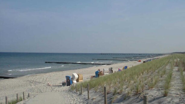 Een strand met een zandstrand, een houten steiger en een zandduin met gras.