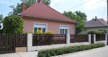 Holiday home with air conditioning and terrace