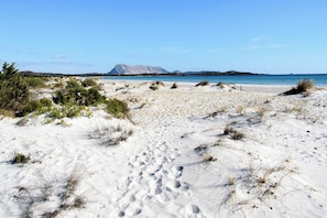 Playa en los alrededores