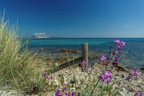Playa en los alrededores