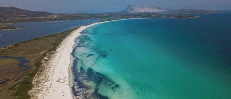 بالقرب من الشاطئ