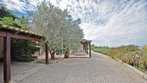 Un camino pavimentado que lleva a un mirador con un banco, rodeado de olivos y vegetación.