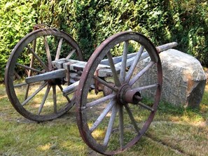 Unclassified image, 5 of 10, button