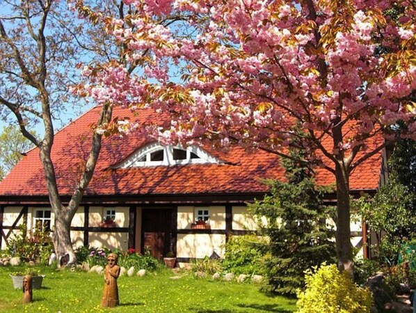 Udendørsområde