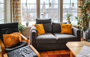 Fernseher, Kamin, DVD-Player