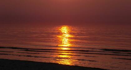 Ferienwohnungen am Schwanenteich - Objekt 32113 - Fewo Schwanenteich