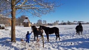 Botón de imagen sin clasificar, 5 de 25