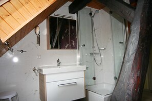 Douche, sèche-cheveux, serviettes fournies, savon