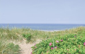 Ein Strandweg, der zum Meer führt, mit grüner Vegetation und rosa Blüten.